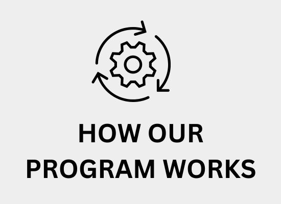 How Our Program Works Icon